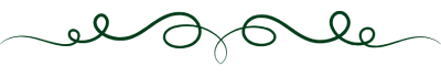 Line Decor.webp