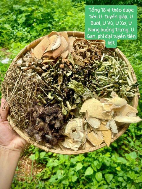 Thao Duoc Tieu U 2.jpg